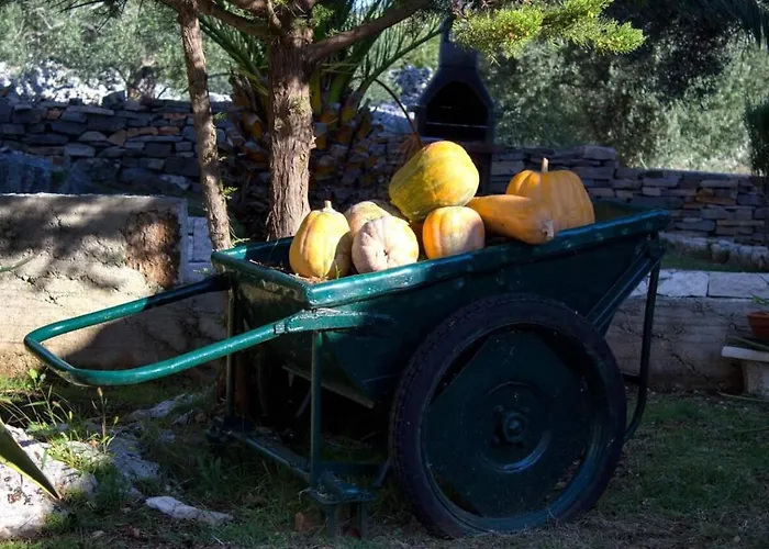 House Stone&olive Feriehus