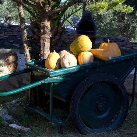 House Stone&olive Hébergement de vacances